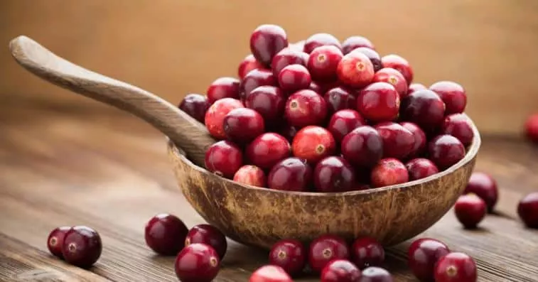 Τι θα πρέπει να γνωρίζεις για τα κράνμπερι 13 cranberries 2