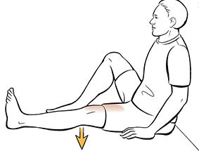 2 quadriceps