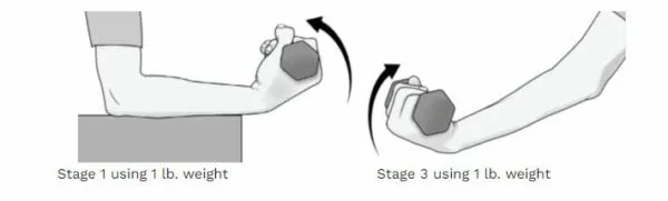 4 wrist flexion stengthening