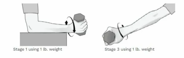 5 pronantion