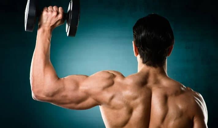 shoulders
