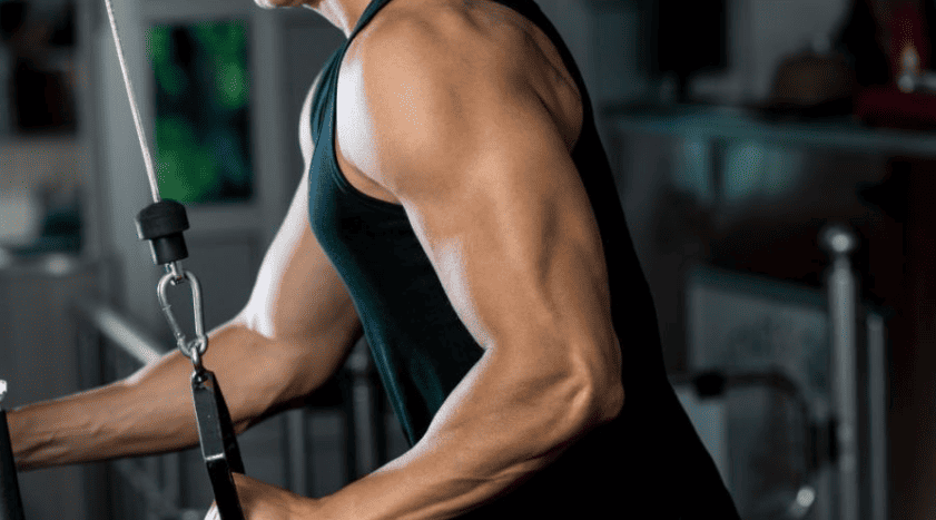 triceps