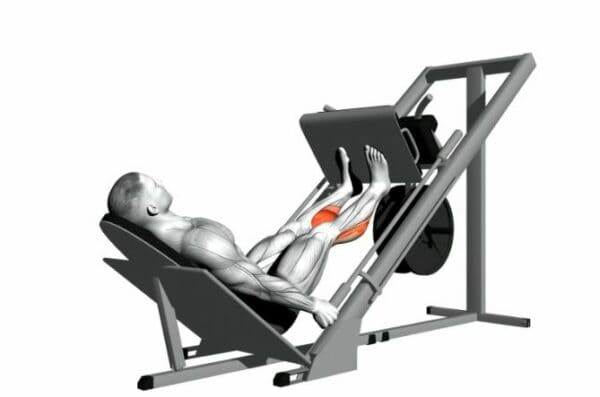 3 leg press heel raise