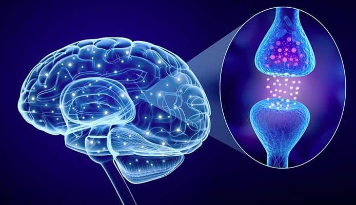 Τι είναι η Σεροτονίνη και πως θα την αυξήσω χωρίς φάρμακα 5 serotonin