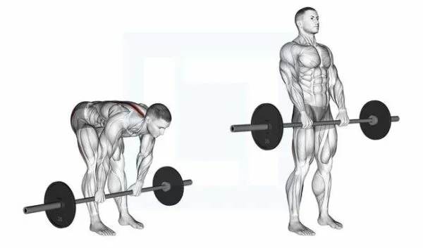3 stif leg deadlift