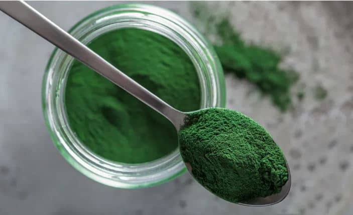 chlorella