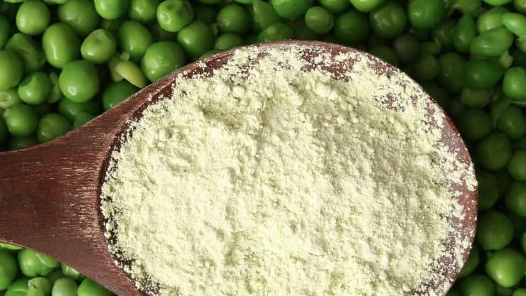 pea protein
