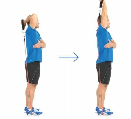 triceps extention single arm