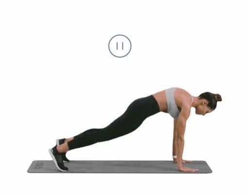 6 burpee