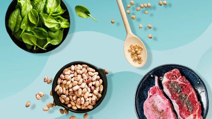 animal vs plant protein
