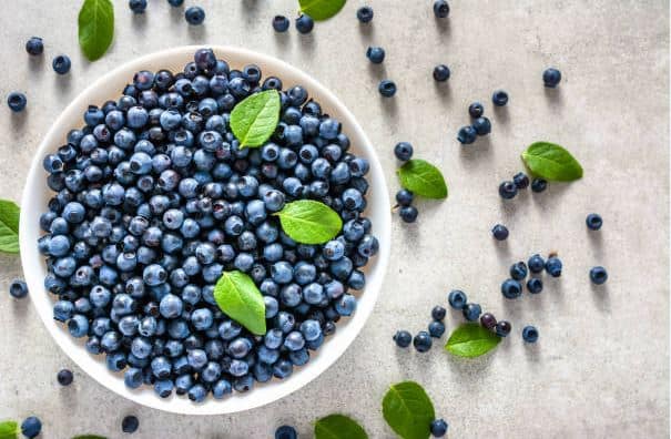 Μύρτιλο: Ποια είναι τα εκπληκτικά οφέλη του για την υγεία 5 bilberryy