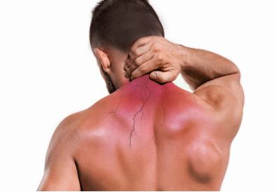 neck and shoulders
