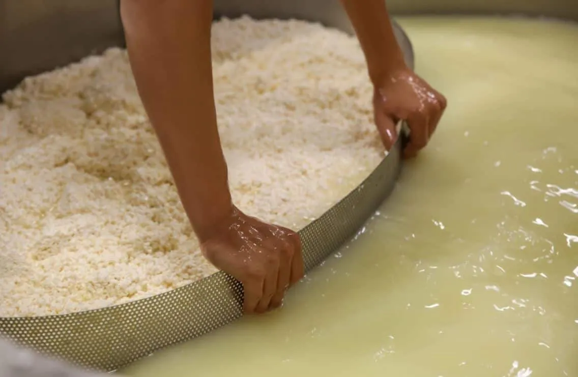 Τι είναι ο ορός γάλακτος 7 whey