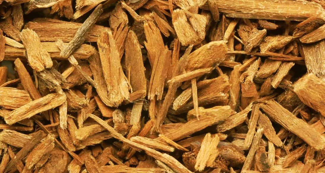 Yohimbine : Οφέλη, παρενέργειες και χρήση 3 YOHIBRE