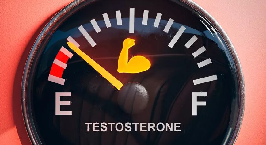 Τεστοστερόνη σε κίνδυνο: Οι αόρατοι εχθροί του ανδρικού σώματος 8 testo danger