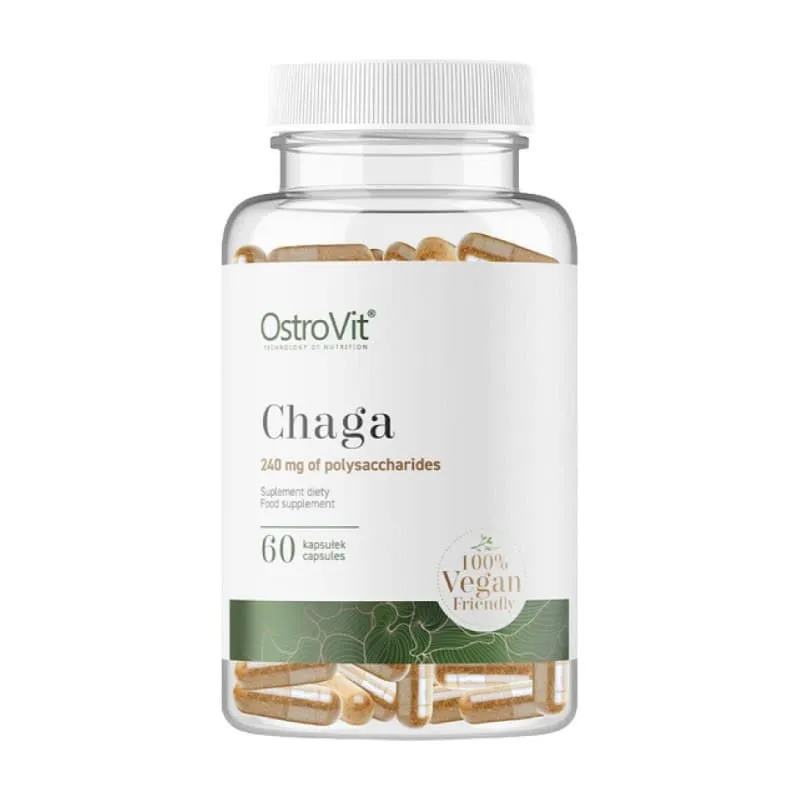 Chaga - OstroVit 60 κάψουλες 1 Chaga - OstroVit 60 κάψουλες
