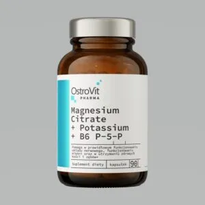 Pharma Magnesium Citrate + Potassium + B6 P-5-P - OstroVit 90 κάψουλες