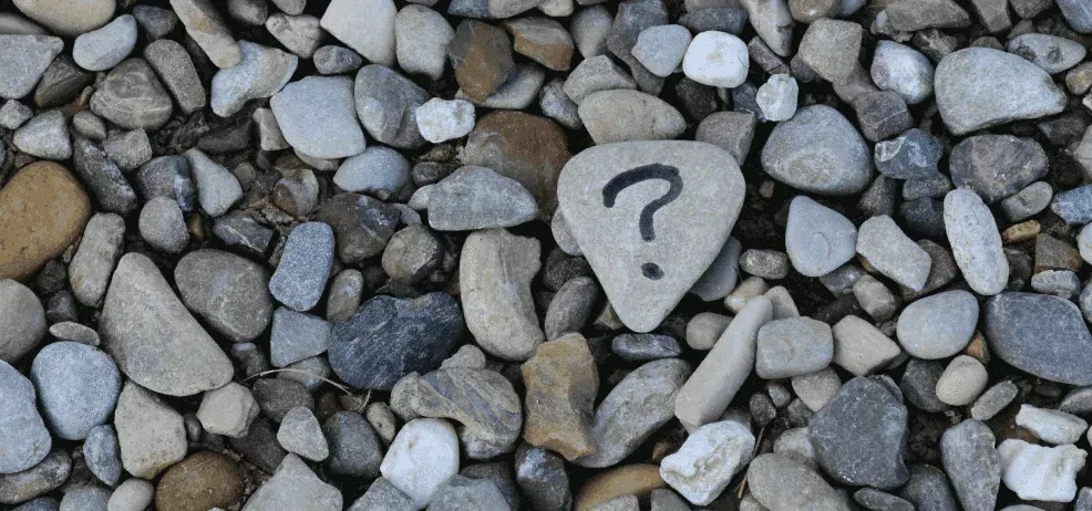 Featured image for โService FAQsโ