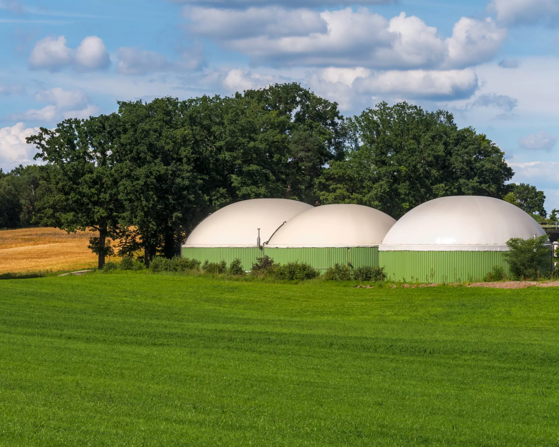 Featured image for โBiogas Articlesโ