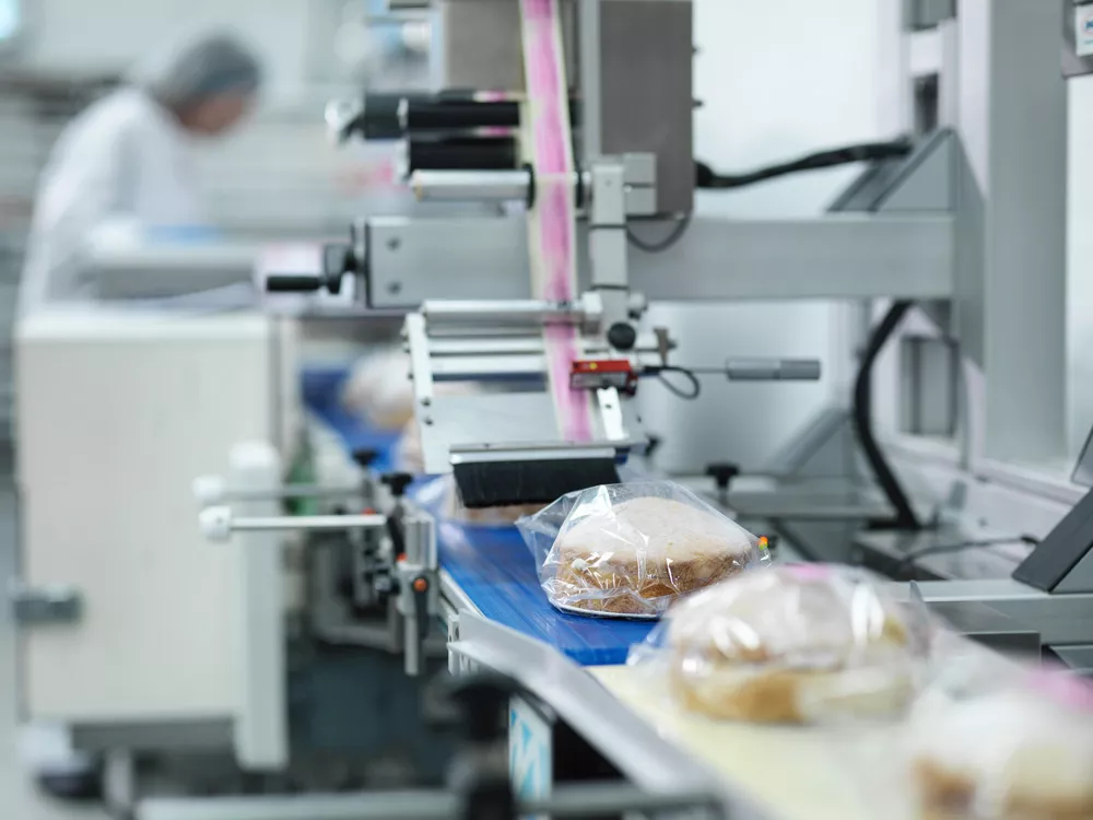 Featured image for โFood Packaging Articlesโ