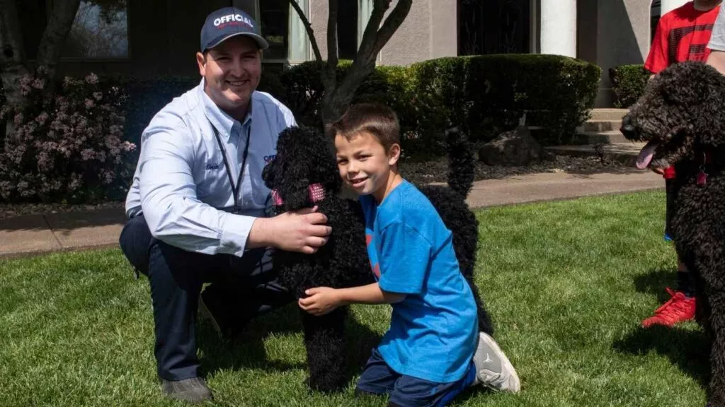 Take Action Today to Protect Your Fence from Termites