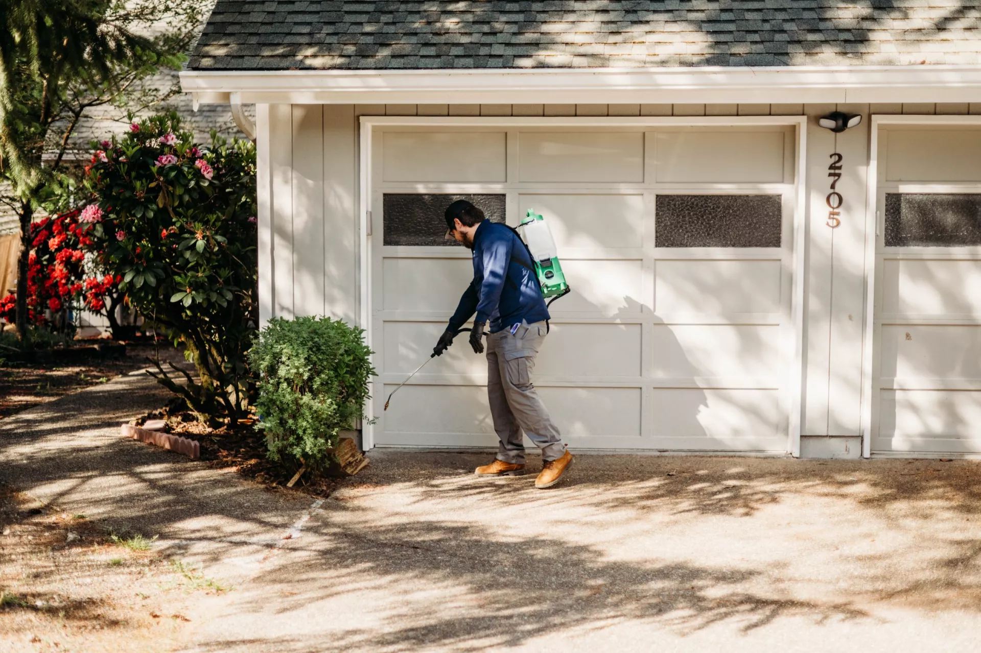Worried About Pest Infestations in Centralia? Get Professional Help!