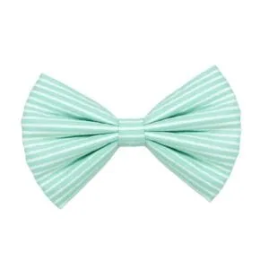 Pastel Cyan Bow