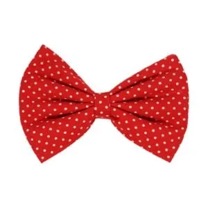 Red Dots Bow