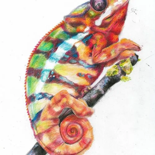 kurs_online_dla_dzieci_kurs_na_asp_sealart_szkola_rysunku_nauka_rysunku_zajecia_z_Rysunku (53) | Sealart szkoła rysunku