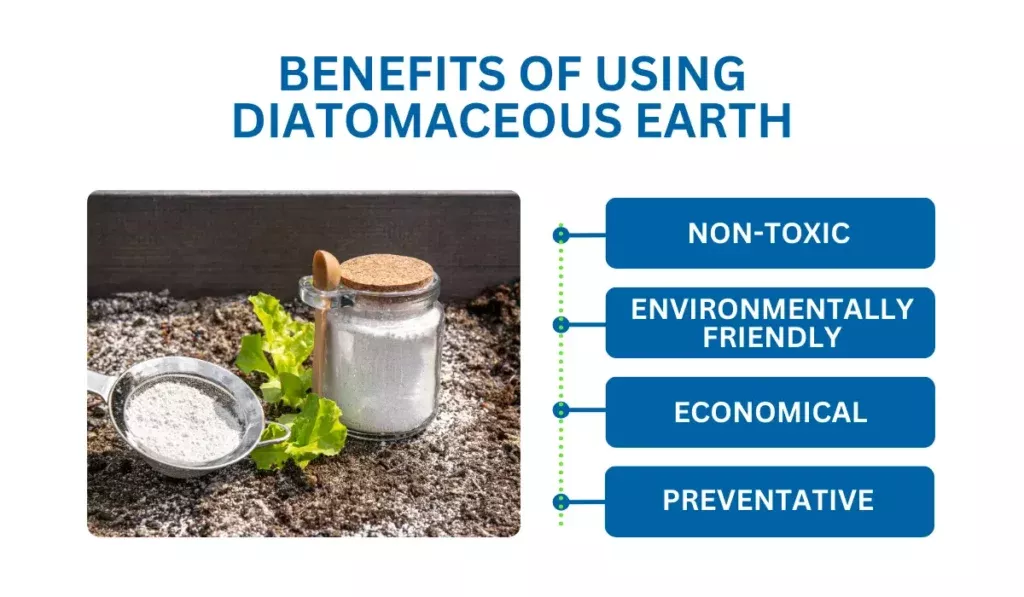 Benefits of Using Diatomaceous Earth