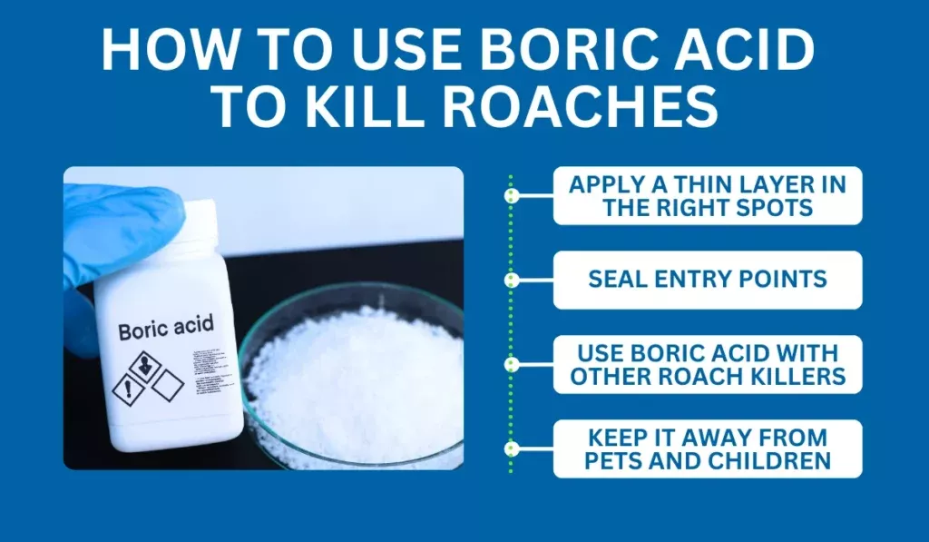 How to Use Boric Acid to Kill Roaches