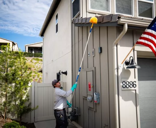 residential pest control