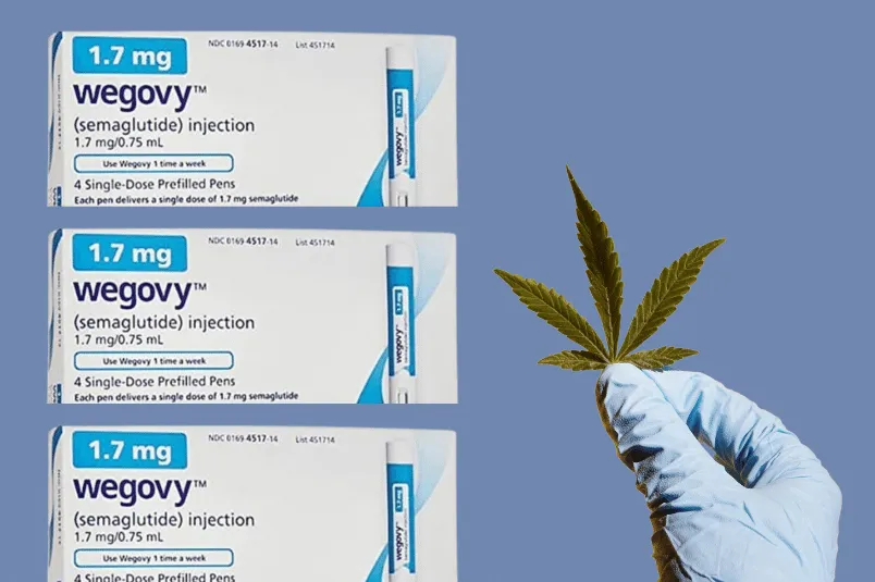 semaglutide and thc Ozempic Cannabis: Risks, Benefits, and Safety Tips How The Cannabis Industry Is