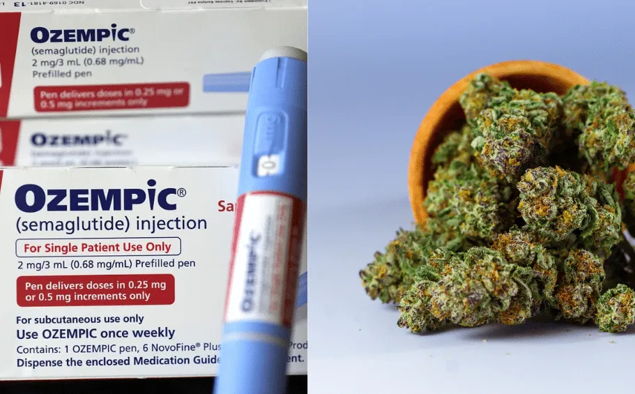 semaglutide digestive blockage lawsuit in west virginia Details about the Ozempic 'Class Action' Lawsuit semaglutide digestive blockage lawsuit in west virginia Details about the Ozempic 'Class Action' Lawsuit