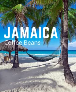 Bestselling Jamaican Coffee Beans Bestselling Jamaica Coffee
