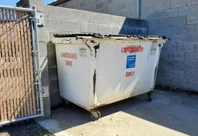dumpster dumpster