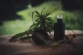 Les bonnes raisons d'acheter du CBD pas cher