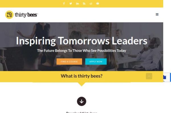 site thirty bees, inspire les leaders de demain, l'avenir appartient ร ceux qui voient les possibilitรฉs aujourd'hui