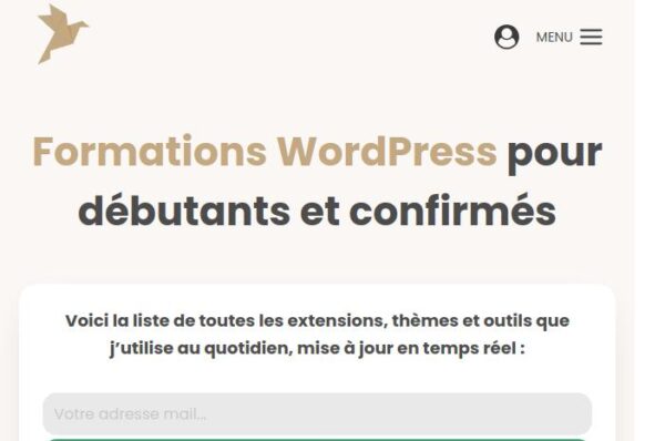 formations wordpress pour dรฉbutants et confirmรฉs