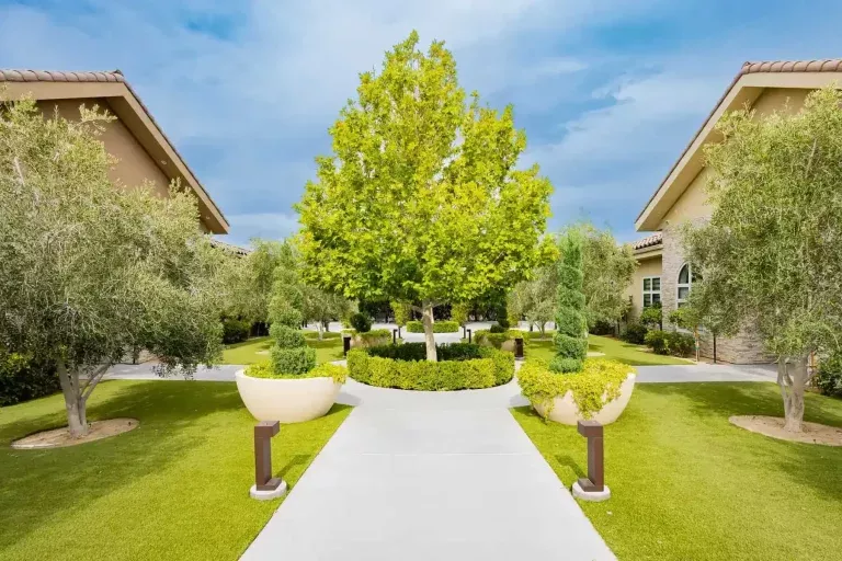 A wide concrete pathway leads to a round, landscaped area with a large green tree, surrounded by manicured lawns, shrubs, and two tan buildings on either side under a blue sky.