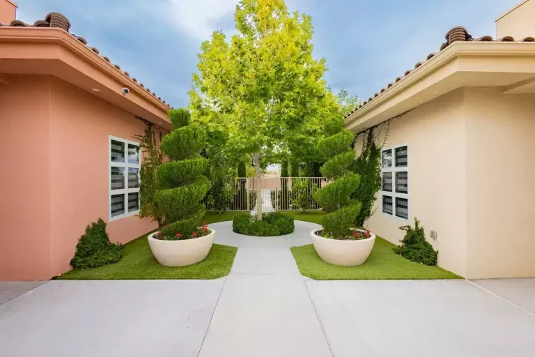 A walkway between two pastel-colored buildings leads to a small, leafy tree surrounded by sculpted bushes in large round planters, with a white gate and greenery in the background.