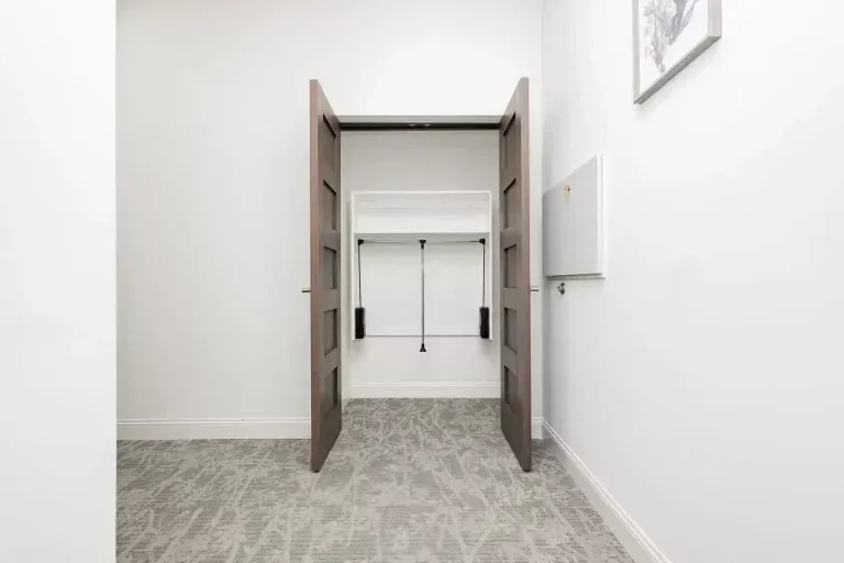 An empty closet with double brown doors, a patterned carpeted floor, and a pull-down Murphy bed frame mounted inside. White walls and a framed picture are visible on the right.