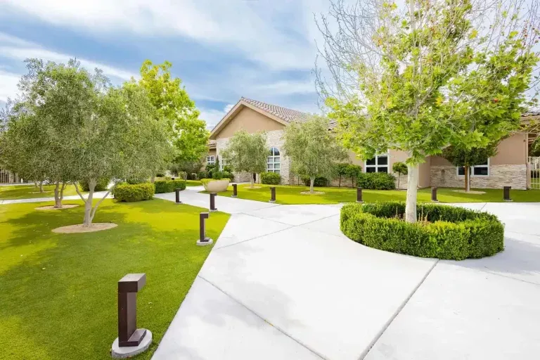 Beautifully landscaped yard with green grass, trees, shrubs, and a beige house in the background. Curved sidewalks, modern pathway lights, and neatly trimmed hedges create an inviting, well-maintained appearance.
