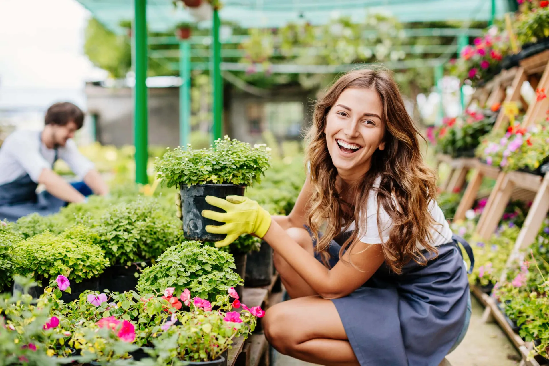 Healthy woman gardening with potted plants in a greenhouse. Woman gardening with potted plants in a greenhouse for sustainable growth.