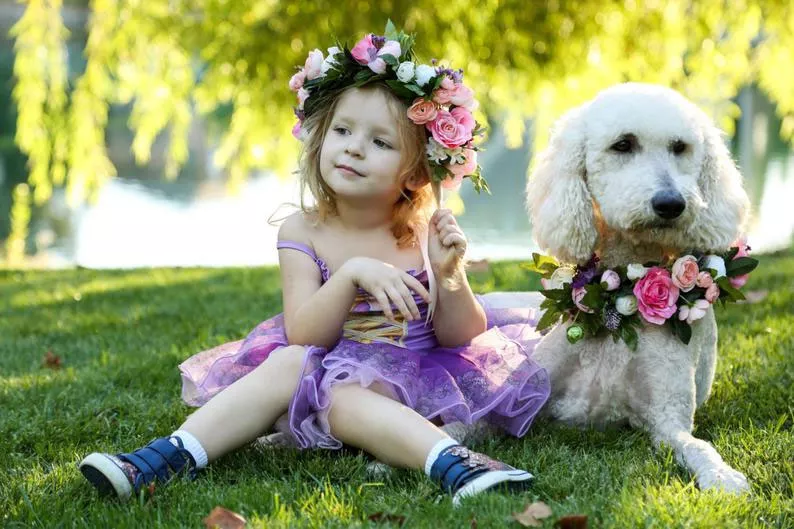 Robe De Soirée Pour Chien Rayée Avec Cravate, Costume De Chien, Costume