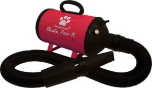 Coat care for doodles with a waterblazer: all information about the dog dryer 2 Lagotto romagnolo vachtverzorging