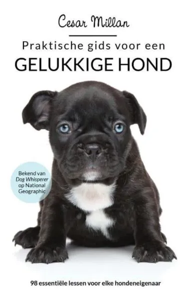 5 beste hundenbรผcher 5 Praktischer leitfaden fรผr einen glรผcklichen hund - cesar millan