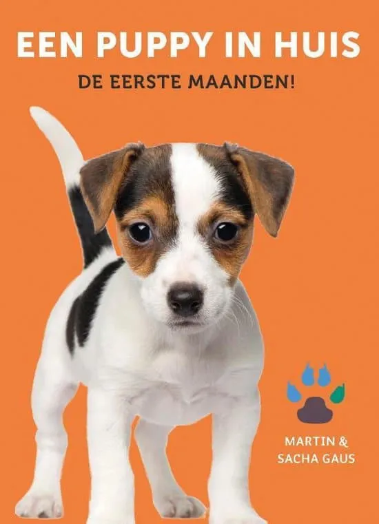 5 beste hundenbรผcher 2 Empfohlene hundebรผcher