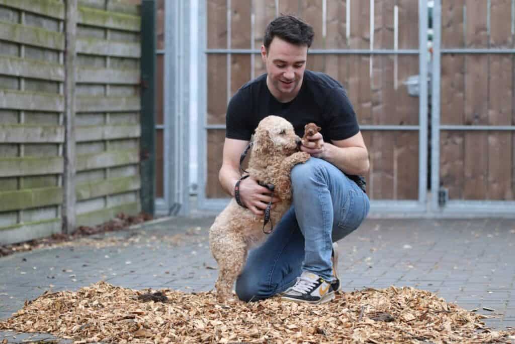Hypoallergene honden, hybride honden, designerdogs 1