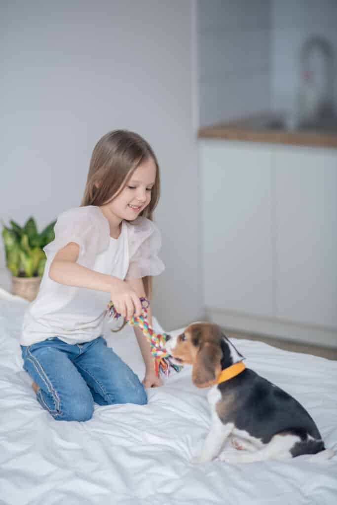 10 beagle activiteiten die ze graag doen 8